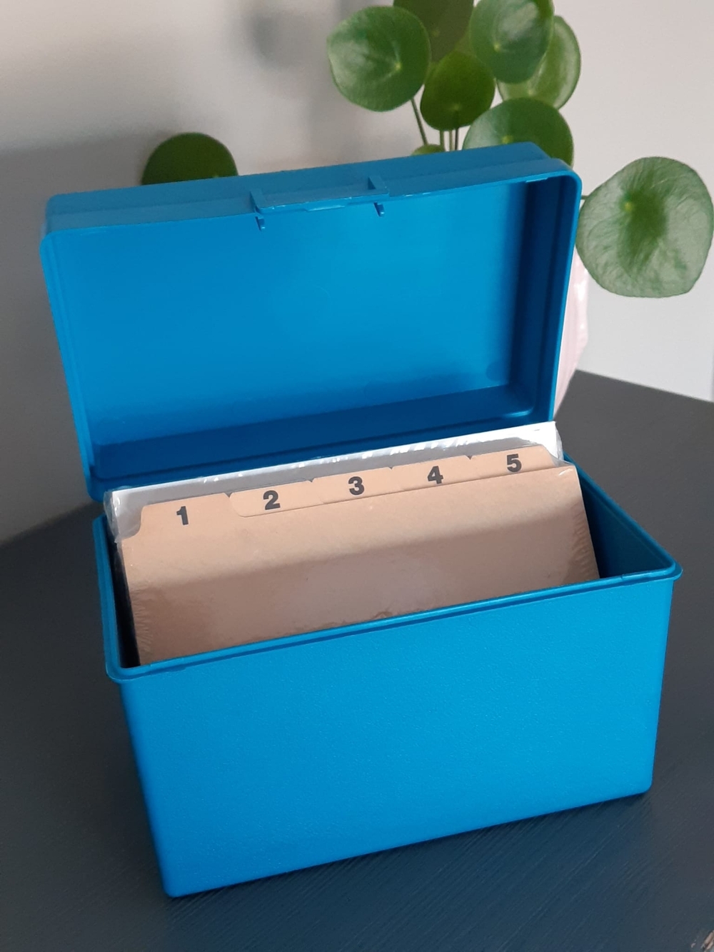 Vintage Blue Index Card Box Organizer